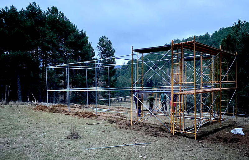 Aspecto del recinto de aclimatación del milano real durante su construcción. Foto: Junta de Andalucía.