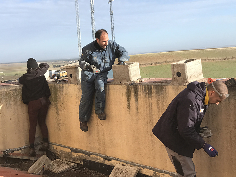 En plena limpieza de nidales de cernícalo primilla en el silo de Hernansancho (Ávila).