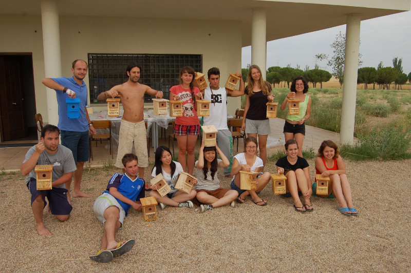 2. Los jóvenes participantes en el campo de trabajo internacional de Villalar de los Comuneros (Valladolid) muestran las cajas nido para aves que han fabricado en uno de los talleres programados (foto: GREFA). 