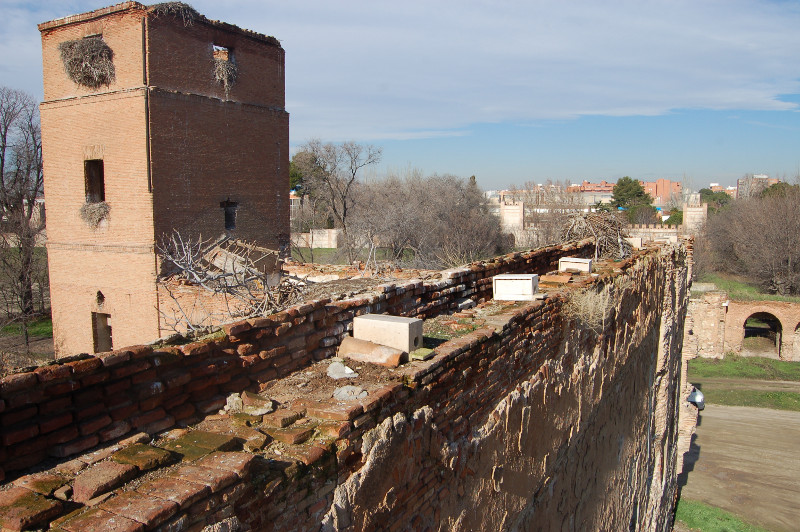 Colocación de nidales artificiales para el cernícalo primilla en Alcalá de Henares