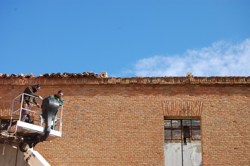 Colocación de nidales artificiales para el cernícalo primilla en Alcalá de Henares