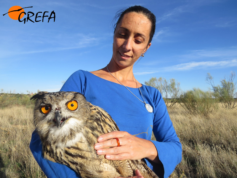 Una madrina con el búho real que está a punto de liberar. Foto: GREFA.