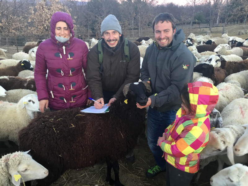 La familia de ganaderos sanabreses propietaria de la marca "Pastando con Lobos" y Fernando Blanca, de GREFA.