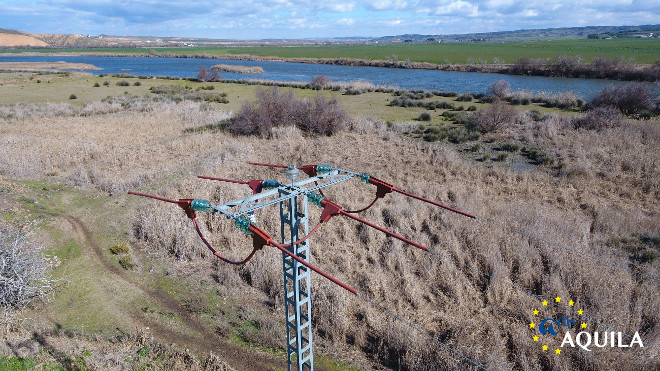 Poste o apoyo corregido por AQUILA a-LIFE en la provincia de Toledo. Foto: GREFA.