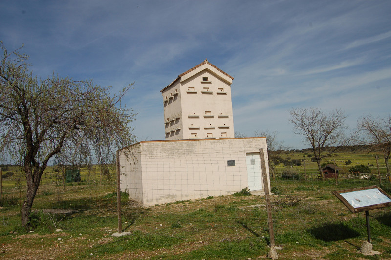 Primillar del término municipal de Navas del Rey (Madrid). Un primillar es una construcción especialmente diseñada para albergar colonias de cernícalo primilla. Foto: Fernando Garcés / GREFA.