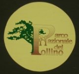 logo pollino