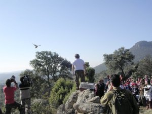 Suelta en Hoyo de Manzanares