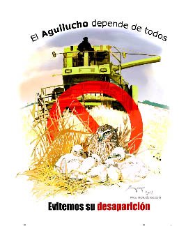 Campaña de salvamento de aguiluchos