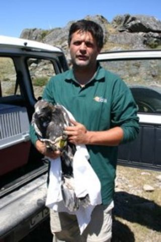 Ernesto con el pollo de águila real