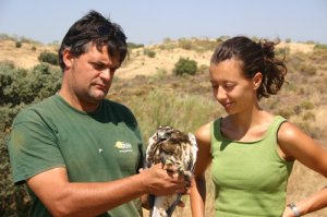 SUELTA DE UN ÁGUILA RATONERA APADRINADA