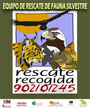 Presentación del equipo de rescate de fauna salvaje herida