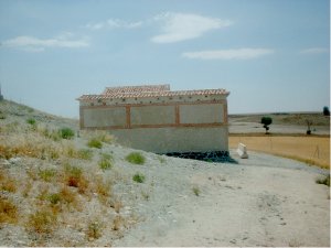 El primillar de Perales del Río