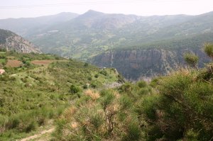 Vista de las jaulas de aclimatación del buitre leonado y su entorno. 