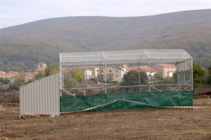 CIGUEÑAS PARA LOS CARABEOS (CANTABRIA)