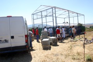 CIGUEÑAS PARA LOS CARABEOS (CANTABRIA)