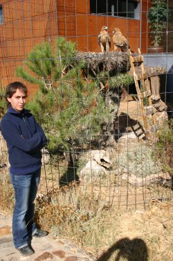   Miembro de GREFA junto a una de las instalaciones de Aguila Imperial en el centro de "Los Hornos"