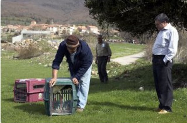  Suelta de las cigüeñas adultas en un prado, llevadas por GREFA el mismo día de la suelta, junto a Miguel Ángel y Noe, piezas claves de este programa. Al fondo los bosques, el pueblo, la instalación con las cigüeñas momentos antes de ser liberadas y parte del público asistente.