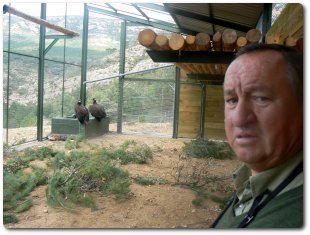 Modesto, Guarda Mayor de la Reserva Nacional de Caça. Delante de la primera pareja de buitres negros ubicados en su instalación del pre-pirineo. 