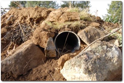 CONSTRUYENDO VIVARES PARA CONEJOS