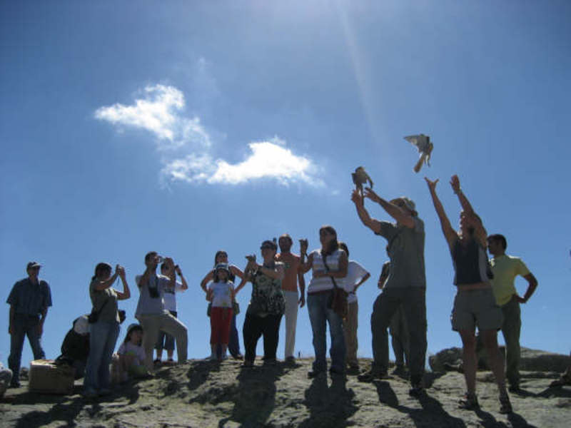 LIBERACIÓN EN LA SIERRA DE GUADARRAMA, UN REGALO PARA NUESTROS VOLUNTARIOS.