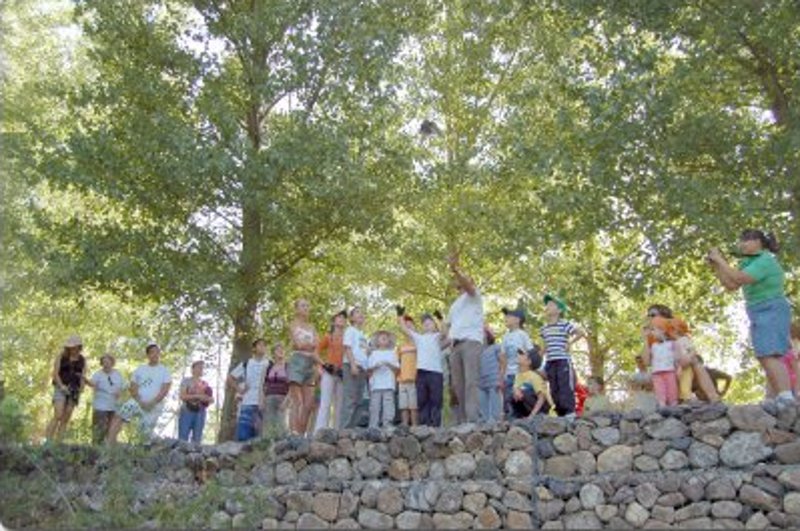 Suelta de cernícalos en Batres