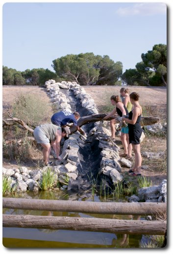 campo trabajo