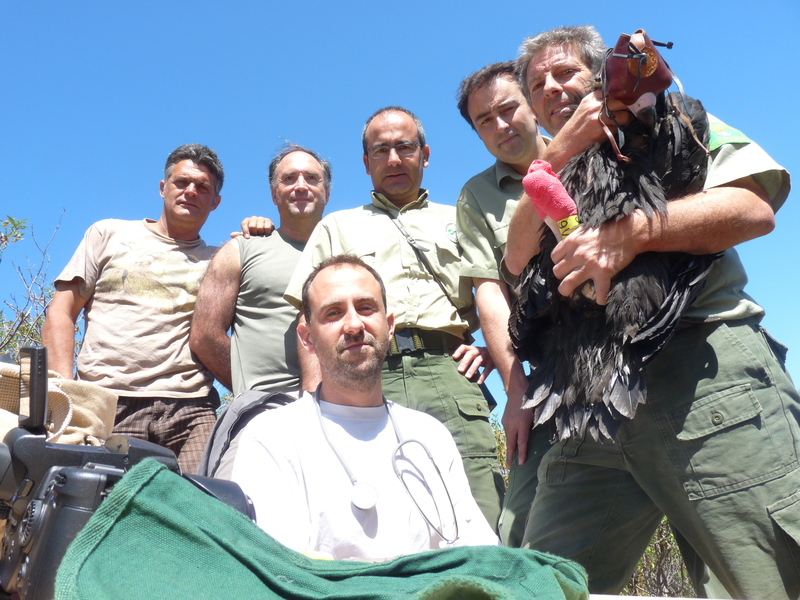 Trabajo finalizado. Victor, Ernesto, Fernando y los guardas forestales posan con Granadilla