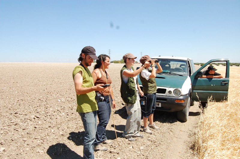 Manu, Maria José, Laura y Zaira, parte del equipo que este año esta realizando la campaña de aguiluchos.