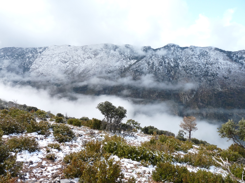 Invierno en Boumort