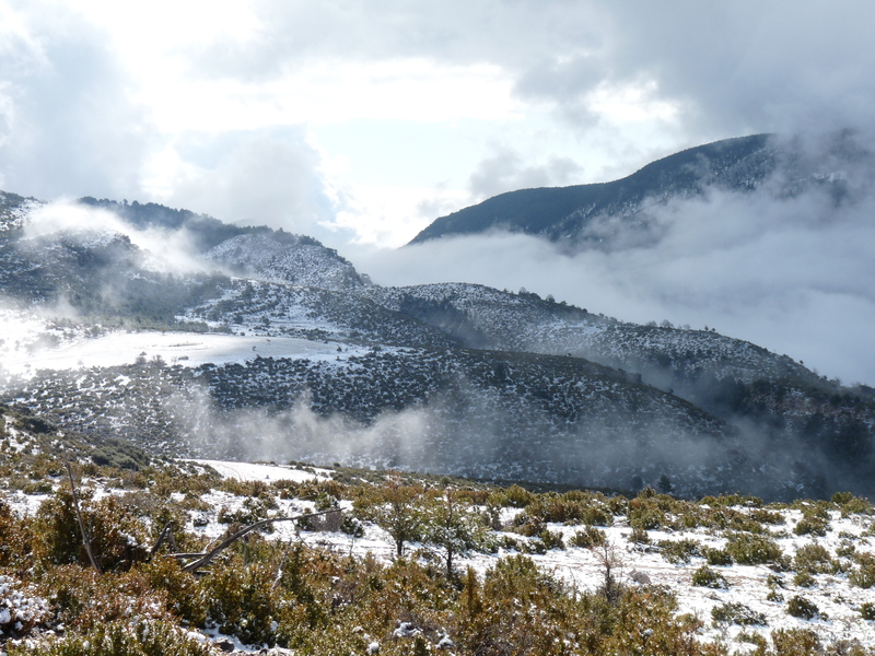 Invierno en Boumort