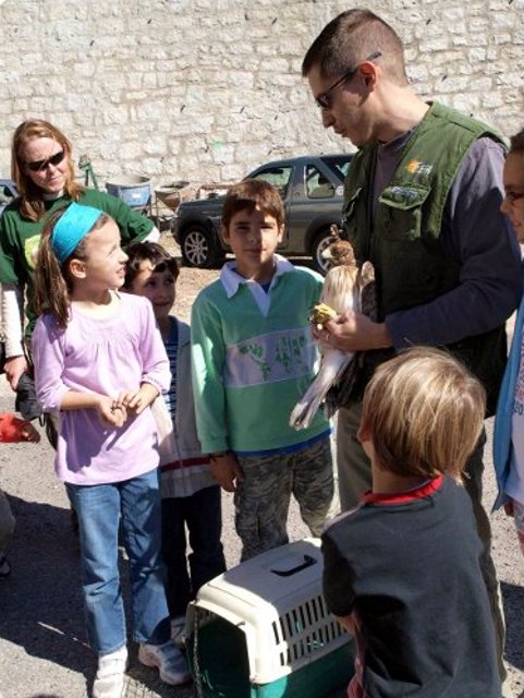 Liberación de "Peñalara", un águila calzada