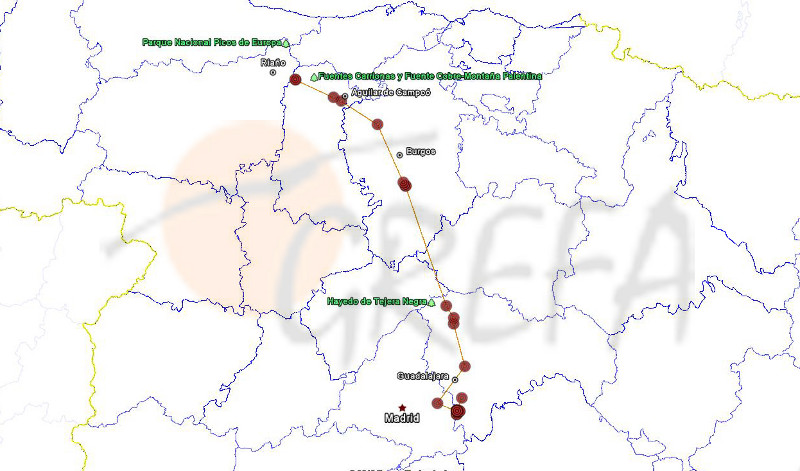 El primer viaje de Perdizuela.Desde que fue marcada en el mes de mayo, la joven Perdizuela no se había atrevido a alejarse a más de 5 km del nido donde nació, pero durante los primeros días de agosto se mostraba más nerviosa de lo habitual, incluso llegó a alejarse hasta 12 km.Fue el día 15 del mes de agosto cuando comenzó su dispersión. Primero hacia el interior de la provincia de Guadalajara, donde crían varias parejas de esta especie, para tomar rumbo norte hacia la Sierra de Ayllón. Atravesó la provincia de Burgos para acabar en la Reserva de Caza de Fuentes Carrionas, al norte de la provincia de Palencia.