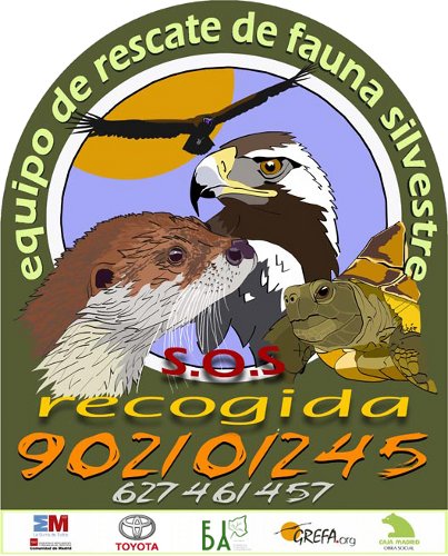 Equipo de rescate de fauna salvaje