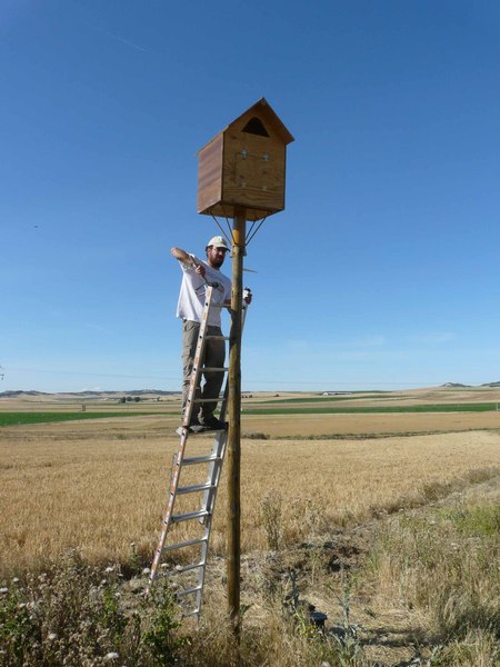 Controlando las puestas en las cajas nido del proyecto