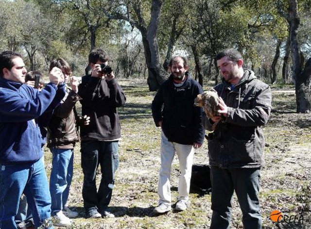 Miembros del Guadarramista momentos antes de liberar a “Guadarrama”. 