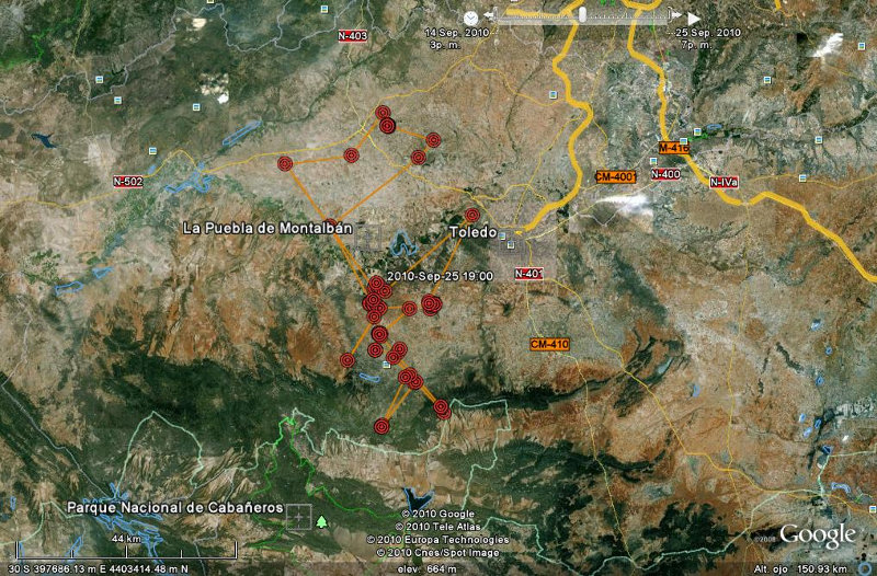 Movimientos de Jaén, águila perdicera, 25 de septiembre de 2010