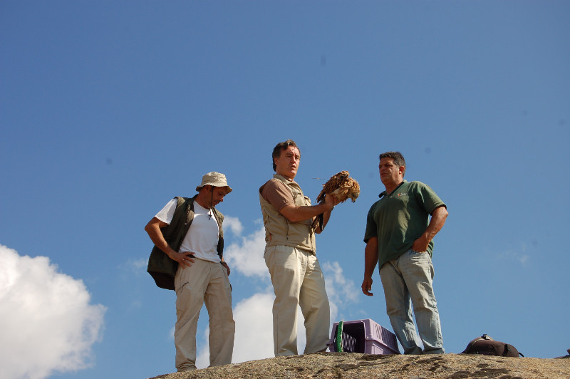 Juan José Cerrón, Director General de Medio Ambiente junto con Ernesto Alvarez y Fernando Garcés Presidente y Secretario General de GREFA respectivamente. 