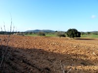 Típica zona de dispersión del águila-azor perdicera en Mallorca 