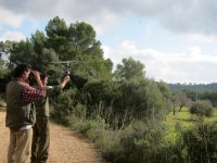 Ernesto de GREFA y Tomeu del Govern intentando localizar a Jota en su área de alimentación habitual-