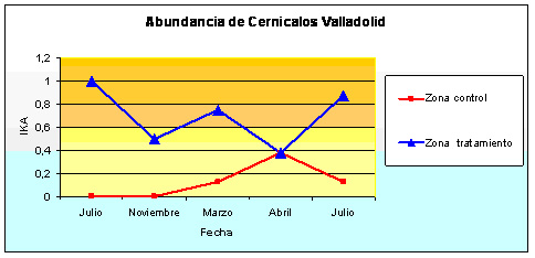 Abundancia de cernícalo vulgar en Valladolid