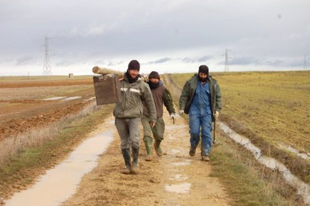 El equipo de GREFA (Alfonso, Juan, Juan Pa, Fernando Blanca y Tenan) currando duro para mostrar que el control biológico de la plaga de topillos puede ser mucho más efectiva que las toneladas de veneno que se echan de forma indiscriminada en los campos castellanos. 