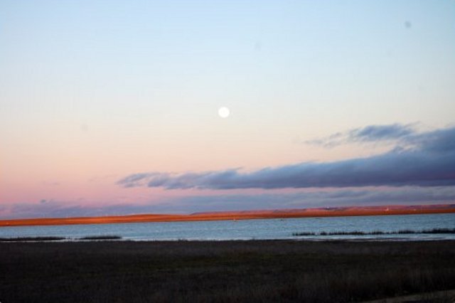 Y después de una dura jornada de trabajo nos acercamos a la laguna de Boada a observar como centenares de gansos acudían a dormir a la laguna restaurada. Un ejemplo de restauración de un ecosistema que tenemos que agradecer a las gentes de Boada y a Global Nature.