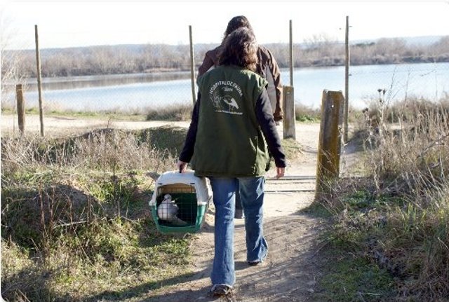 llegando al lugar de liberación de la gaviota reidora