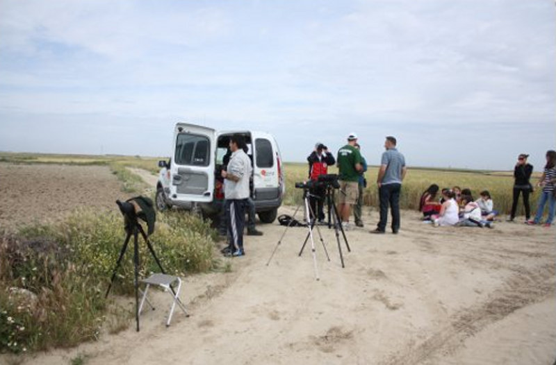 Labores de Educación Ambiental en el municipio de Torrejón de Velasco con un grupo de niños, junto con el grupo local ALFFA