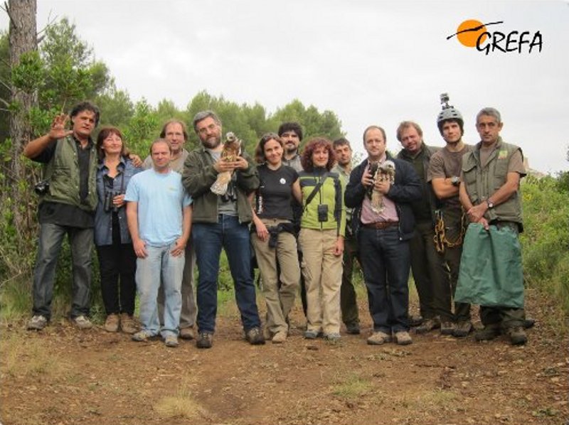 Foto del equipo antes de la liberación de las águilas perdiceras