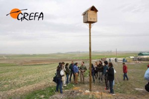 Algunos asistentes nos acompañaron despues de la charla a visitar "in situ" el proyecto 