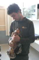 Pablo Izquierdo, responsable de cría en GREFA 