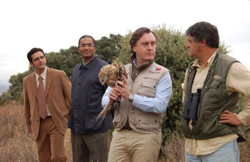 Juan José Cerrón, Director de Medio Ambiente. con el Milano Real en las manos acompañado por el Alcalde de Villamantilla Juan Antonio de la Morena y el Presidente de GREFA Ernesto Alvarez. 