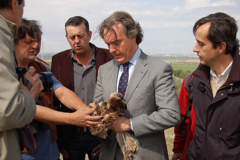 Ernesto Alvarez, (Presidente de GREFA), mostrando las características del transmisor satelital colocado al Milano Real en presencia de Juan José Cerrón (Director General de Medio Ambiente), Gonzalo Arnau ( Director Gerente de la FIDA) y Pablo Robles ( Presidente de la Asociación de Agricultores y Cazadores de Torrejón de Velasco) 