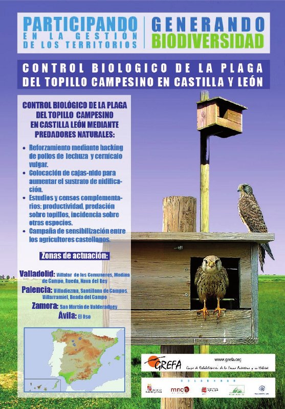 Control biológico del topillo campesino